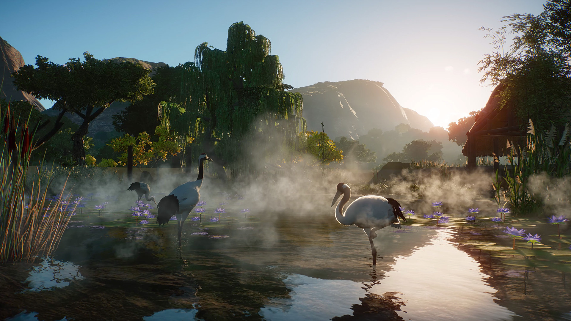 PlanetZoo_Wetlands_2.jpg