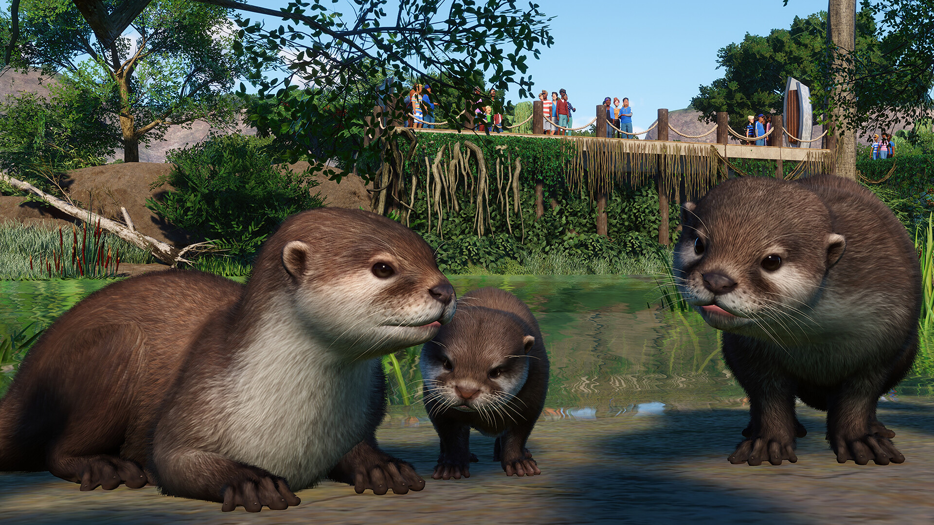 PlanetZoo_Wetlands_4.jpg
