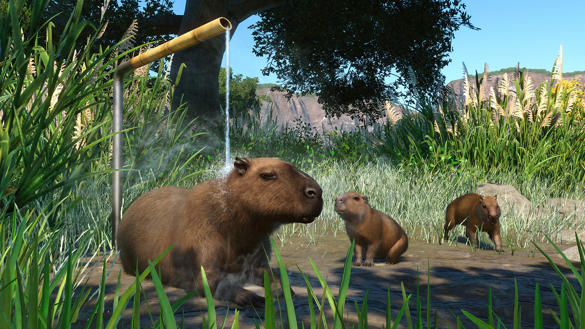 PlanetZoo_Wetlands_1.jpg
