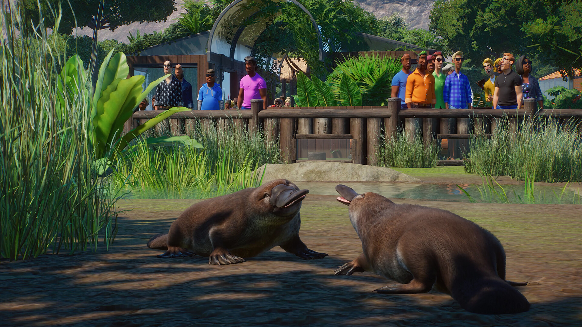 PlanetZoo_Wetlands_5.jpg