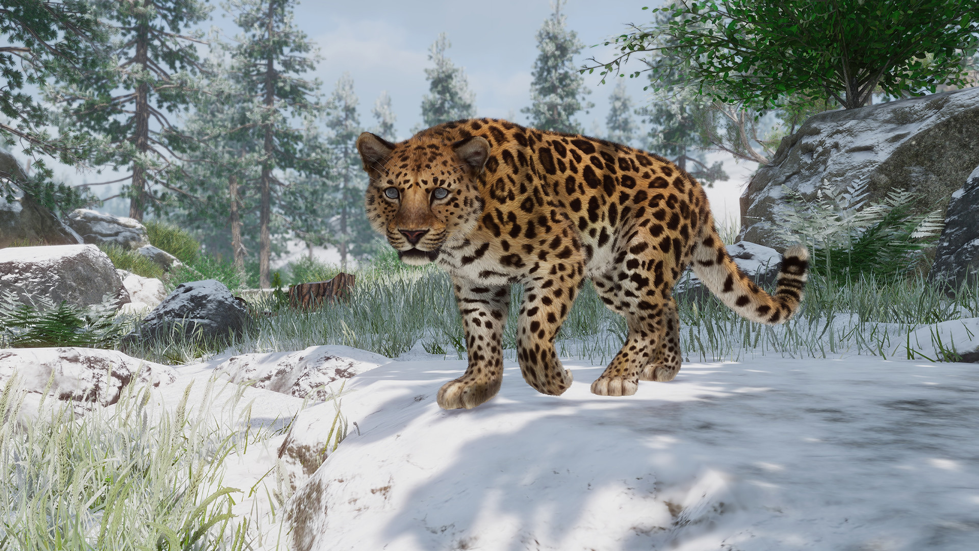 PlanetZoo_Conservation_3.jpg