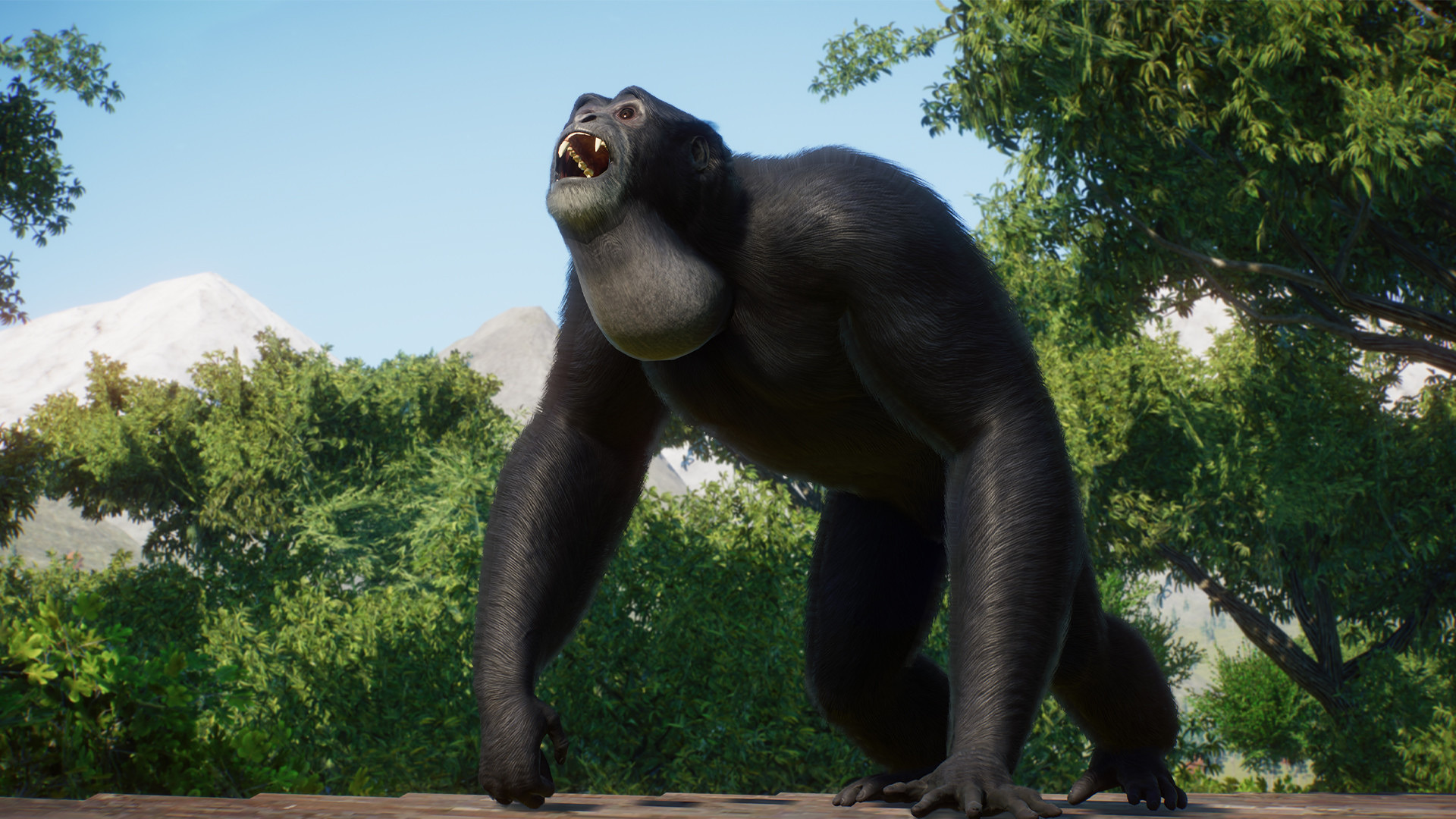 PlanetZoo_Conservation_2.jpg