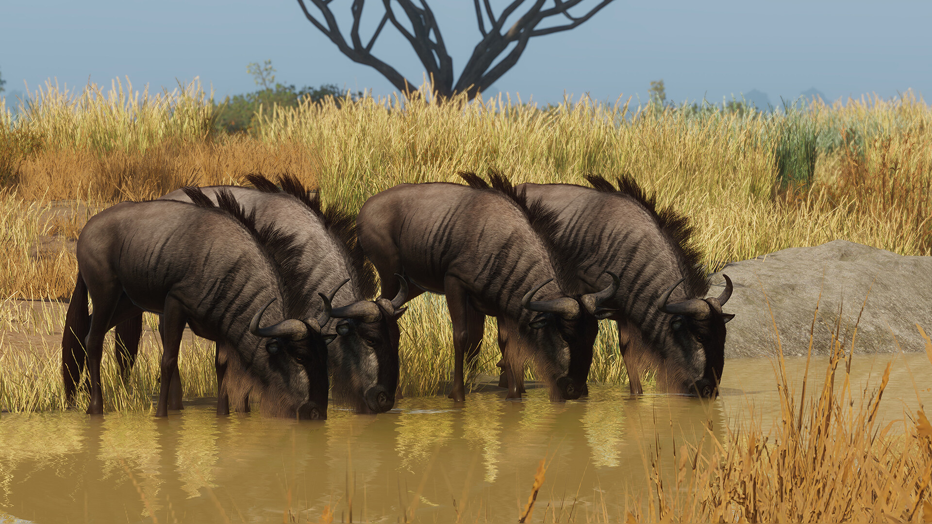PlanetZoo_Grasslands_2.jpg