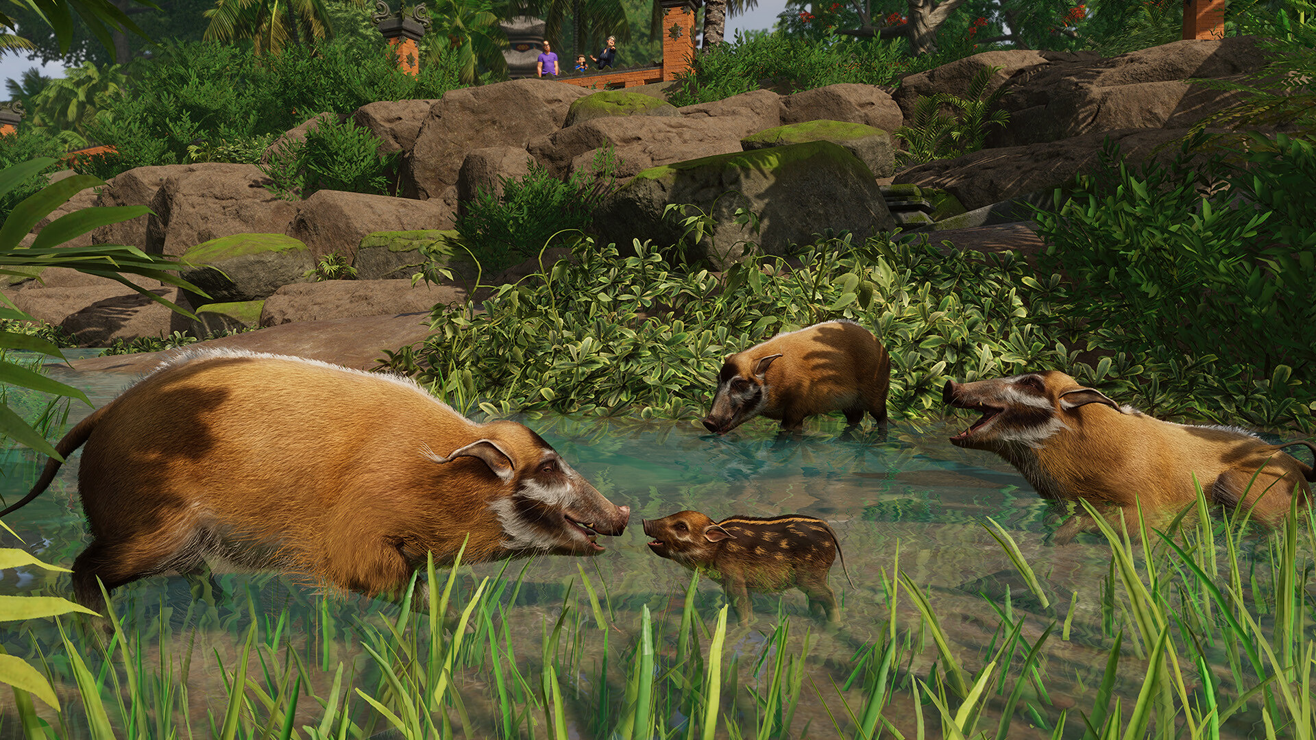 PlanetZoo_Tropical_2.jpg
