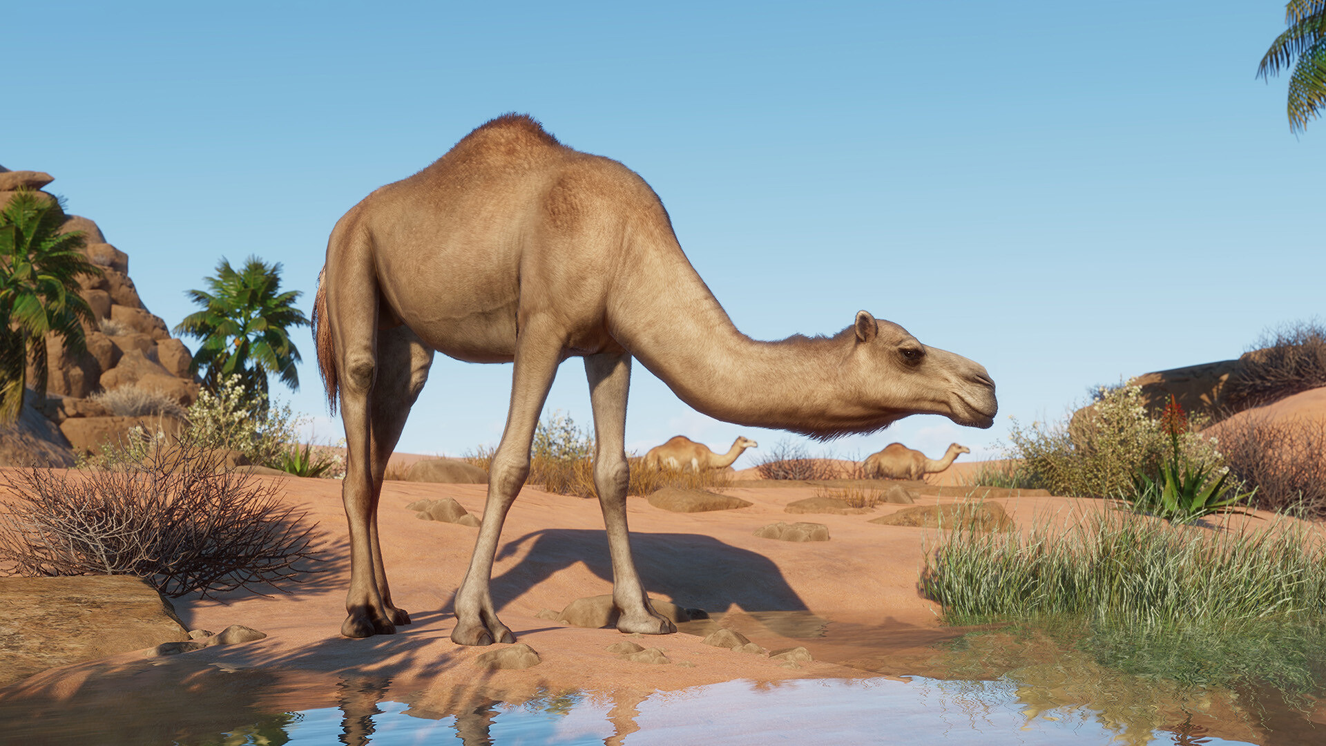 PlanetZoo_Arid_1.jpg