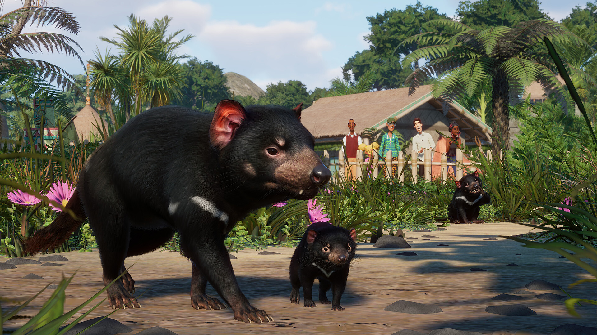 PlanetZoo_Oceania_4.jpg
