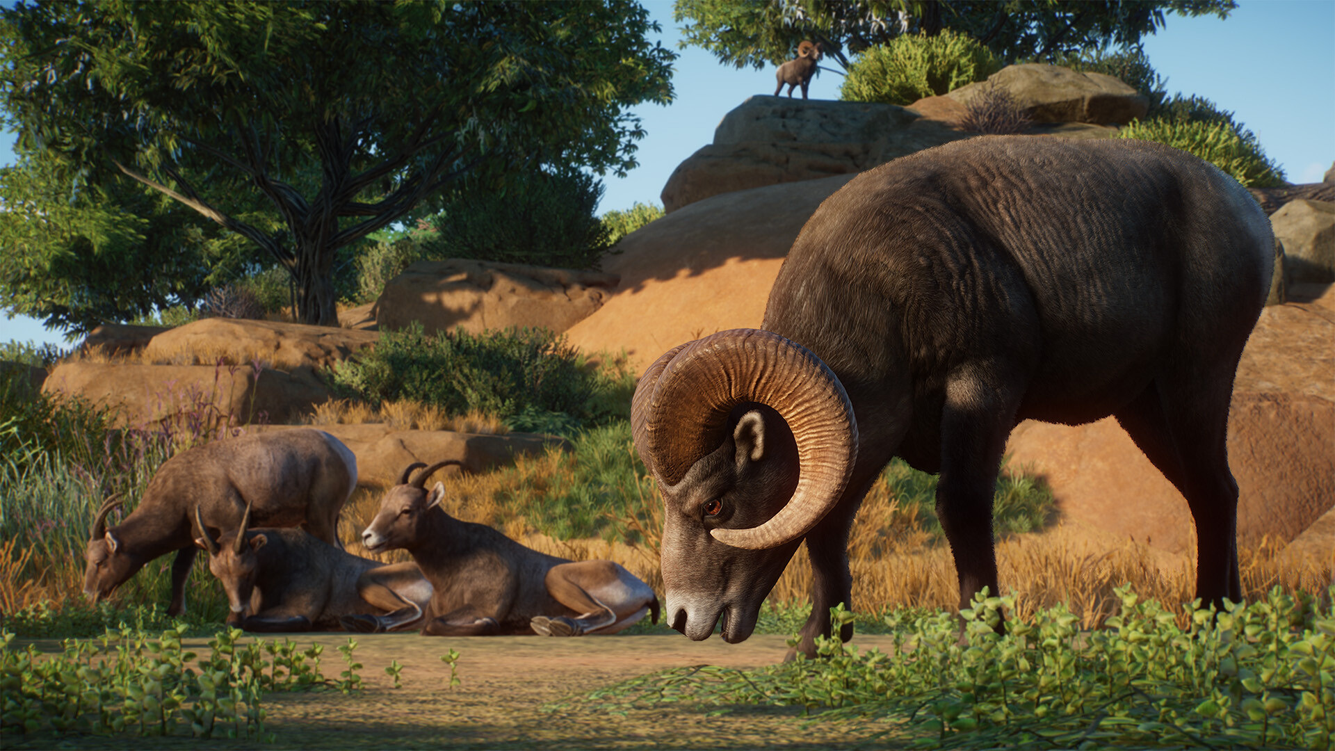 PlanetZoo_Americas_2.jpg