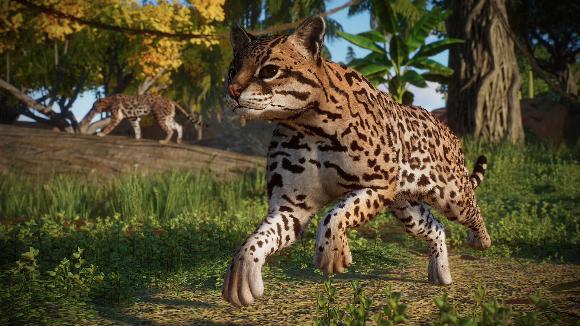 PlanetZoo_Americas_5.jpg