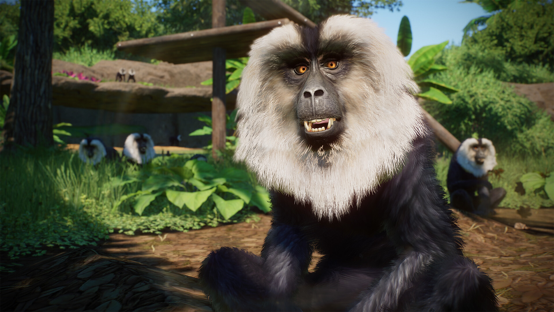 PlanetZoo_Asia_2.jpg
