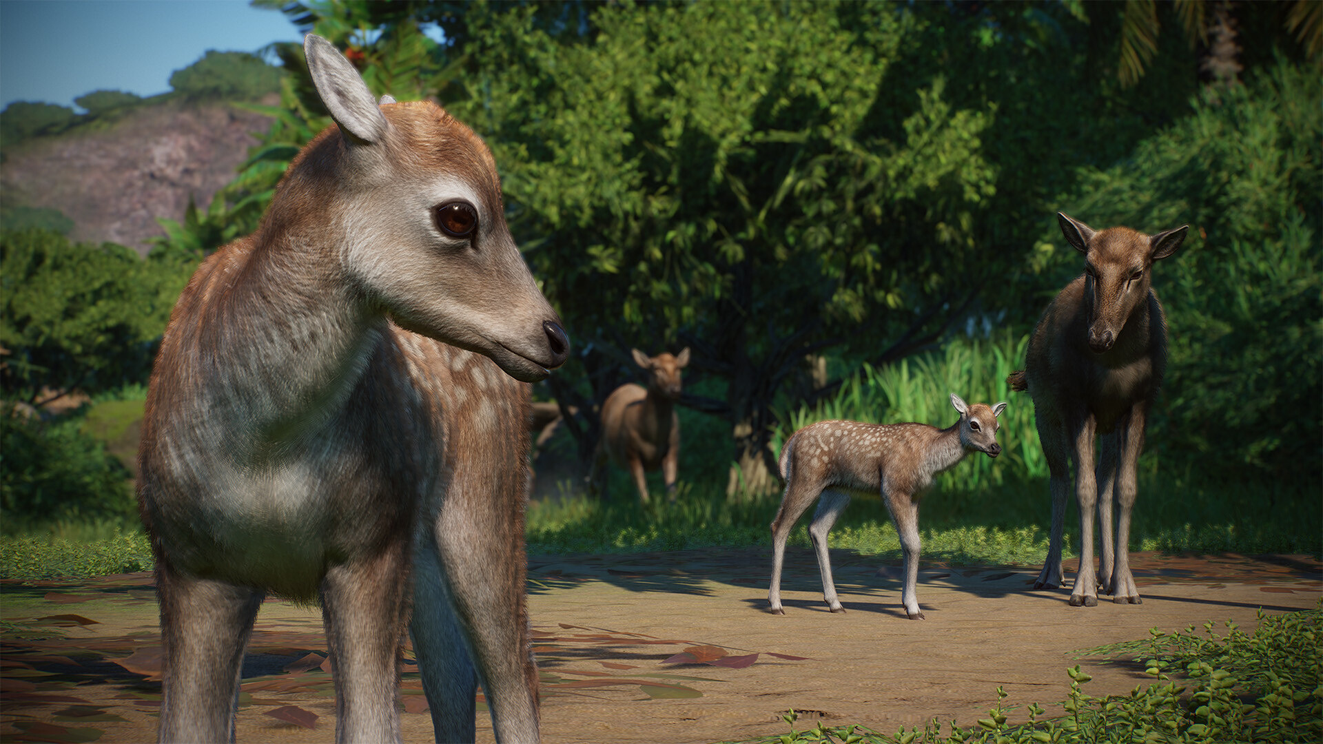 PlanetZoo_Asia_3.jpg