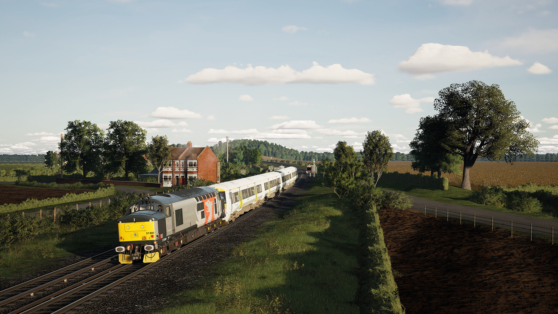 TSW5_ROG37_3.jpg