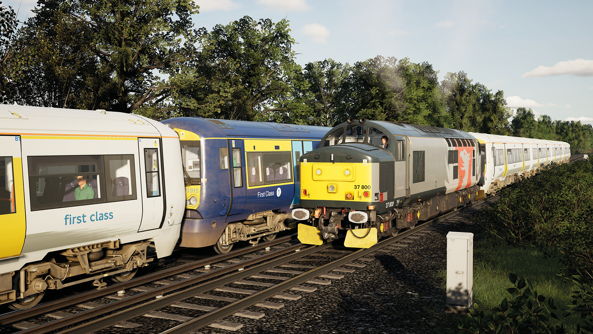TSW5_ROG37_1.jpg