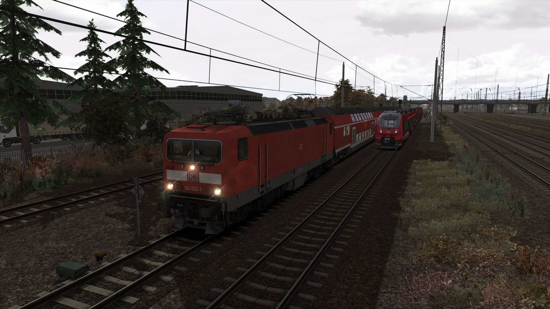 TSC_BR143760_1.jpg