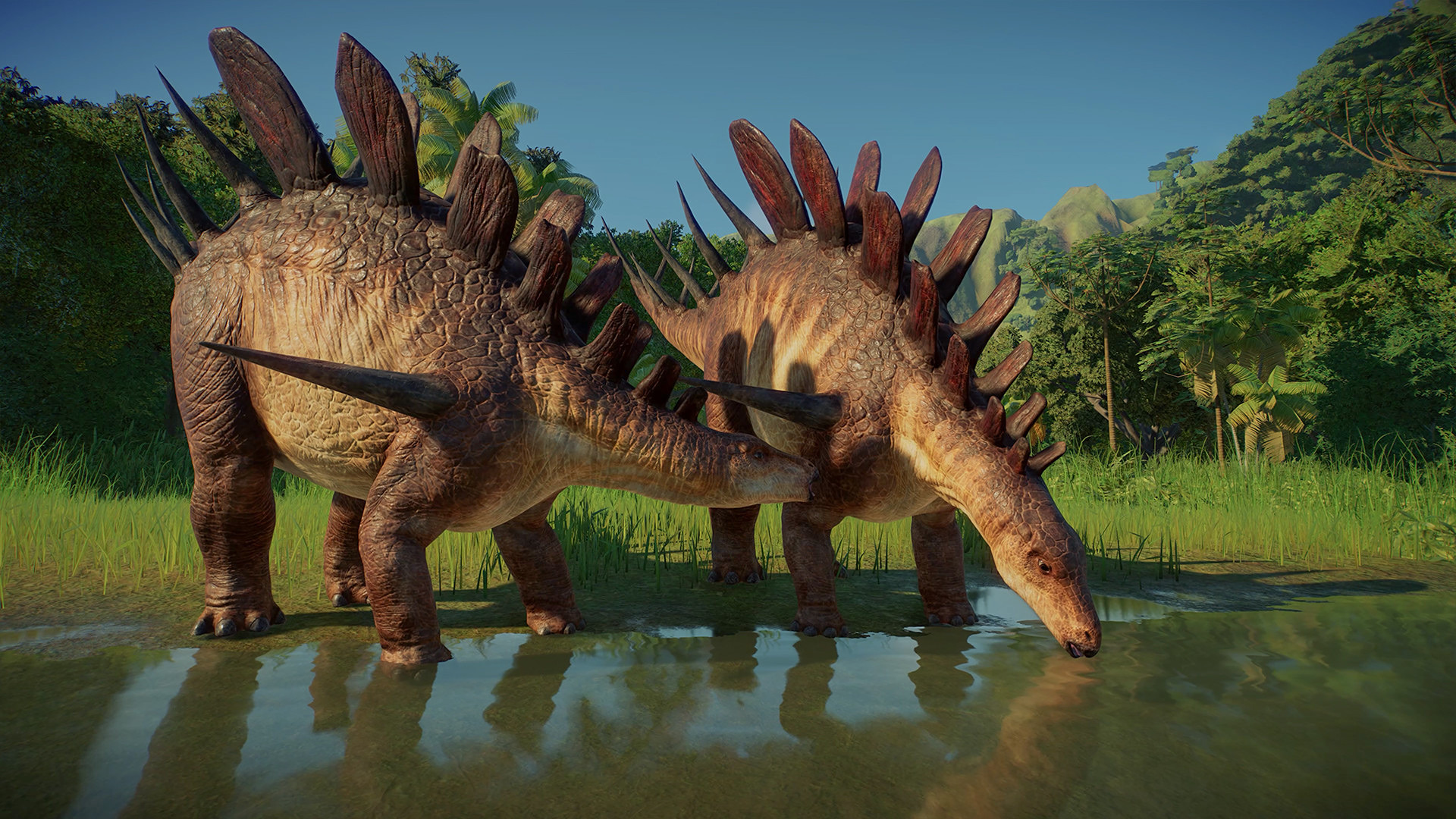 JWE2_CampCret_1.jpg
