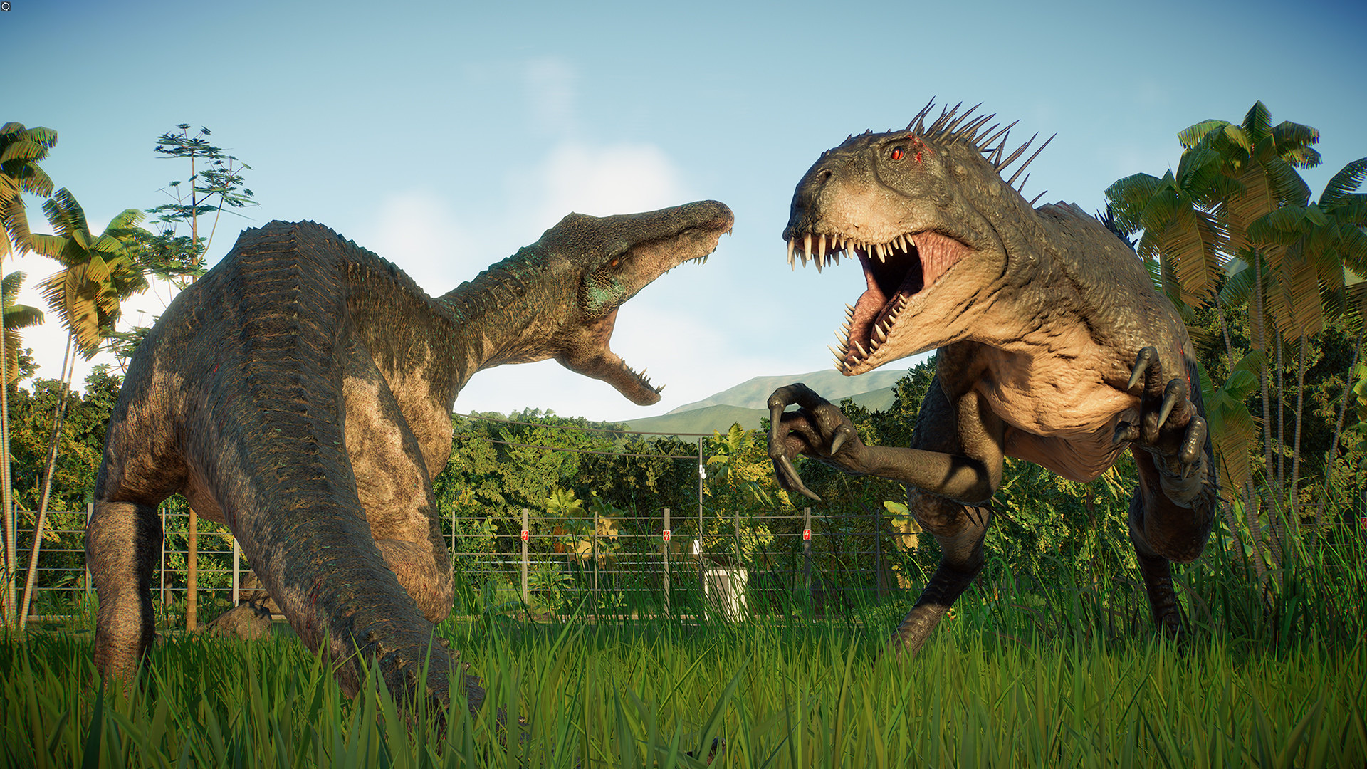 JWE2_CampCret_3.jpg