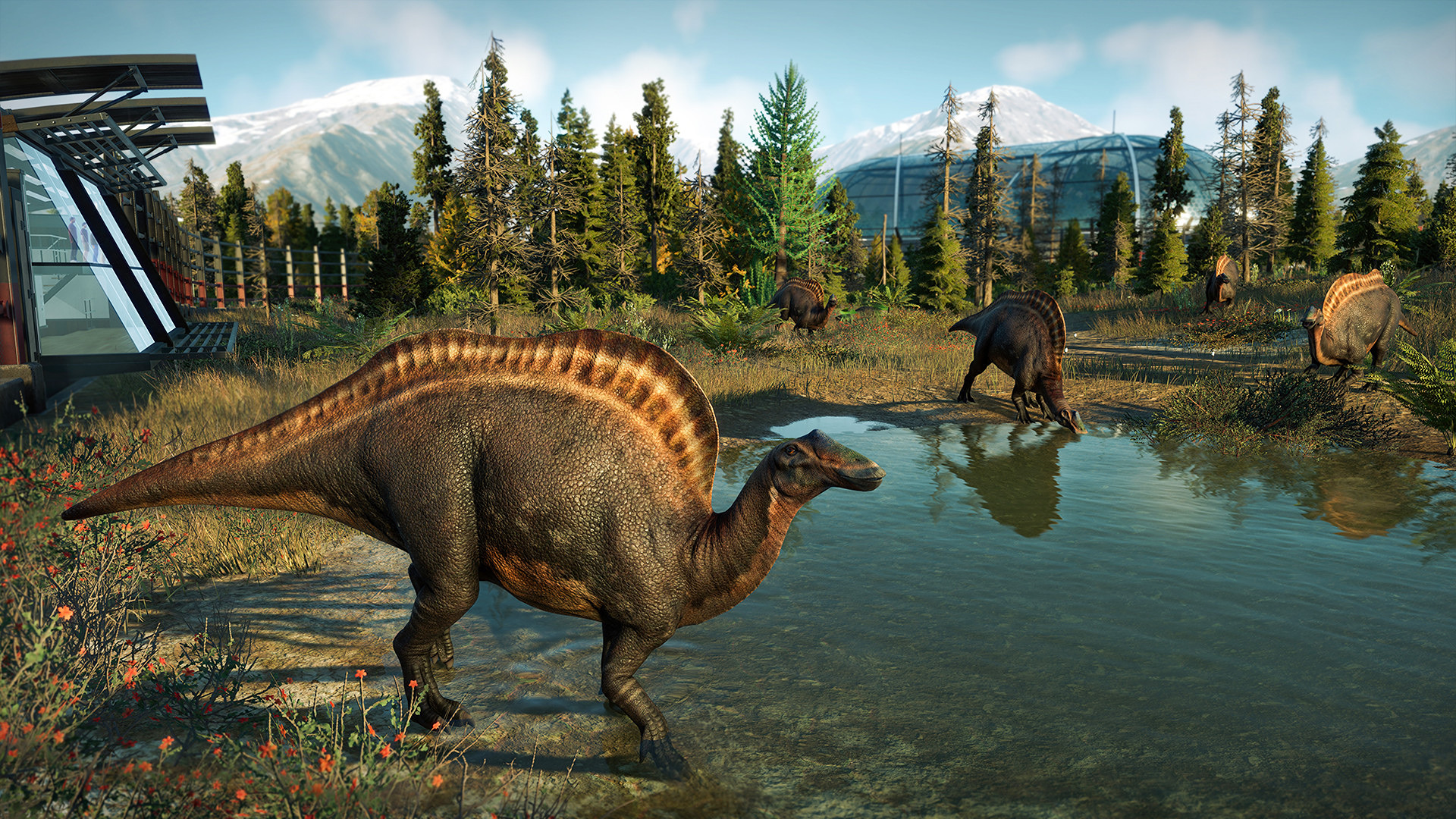 JWE2_CampCret_6.jpg