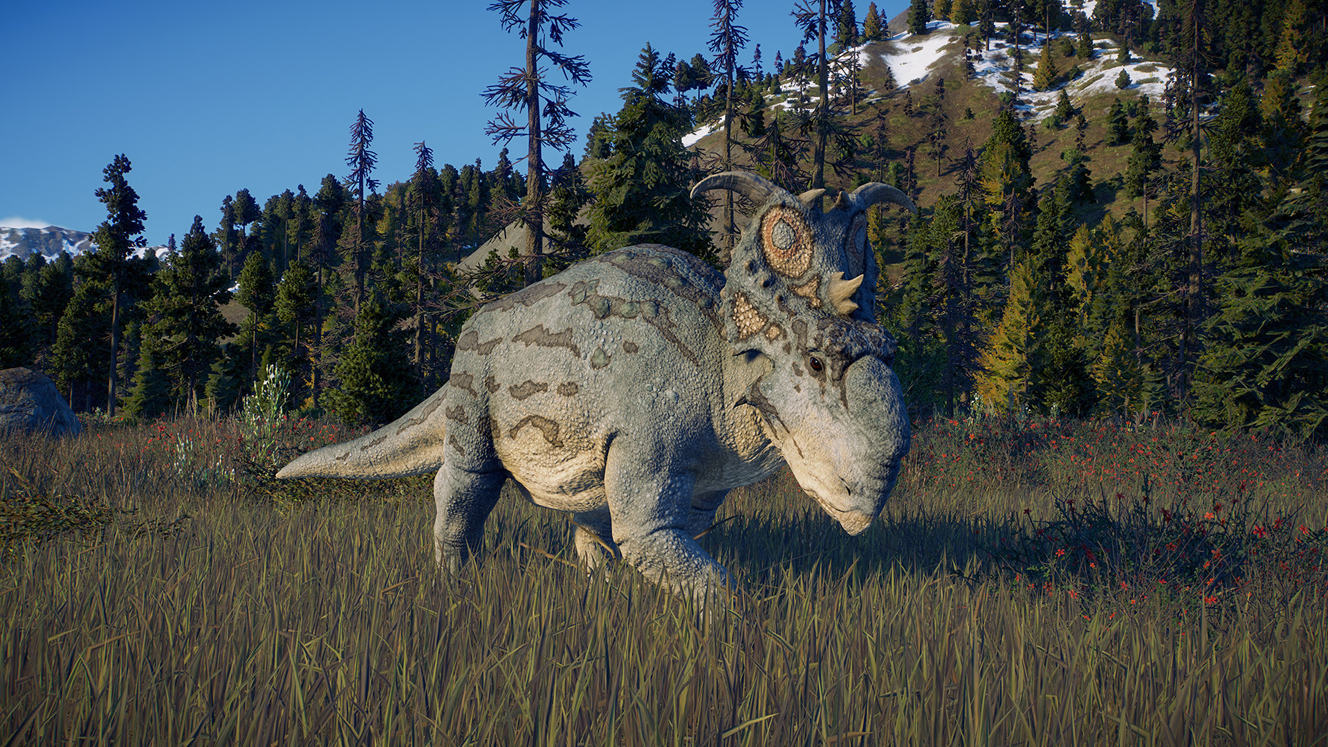 JWE2_Deluxe_2.jpg