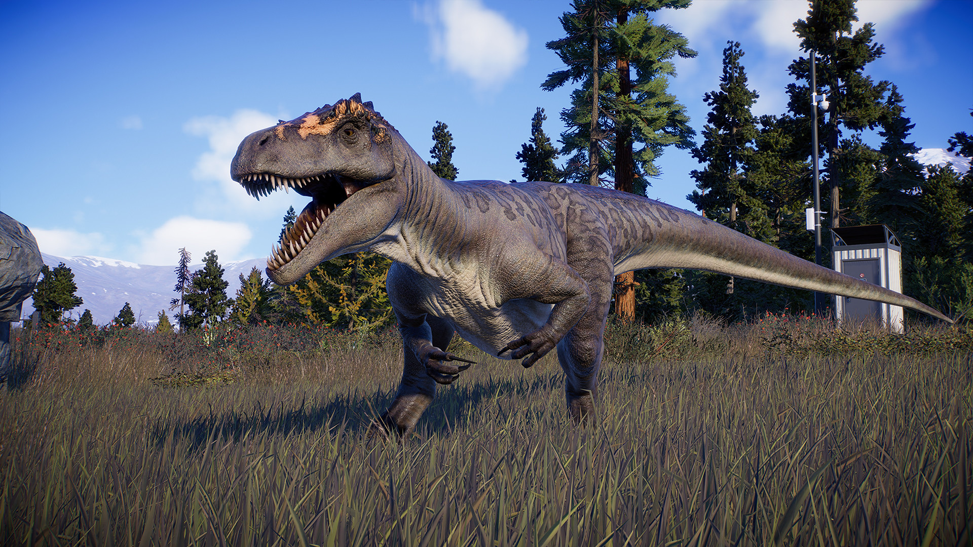 JWE2_Deluxe_1.jpg