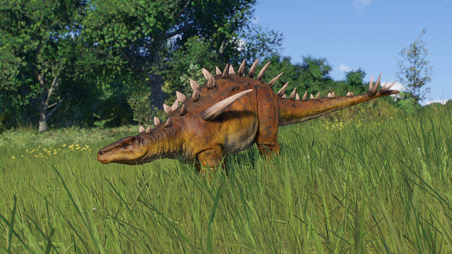 JWE2_Deluxe_5.jpg