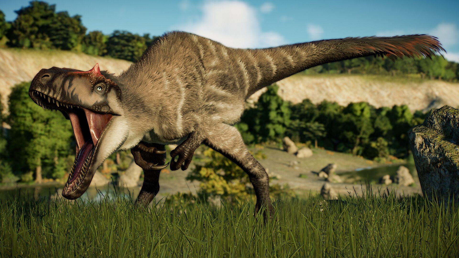 JWE2_Feathered_1