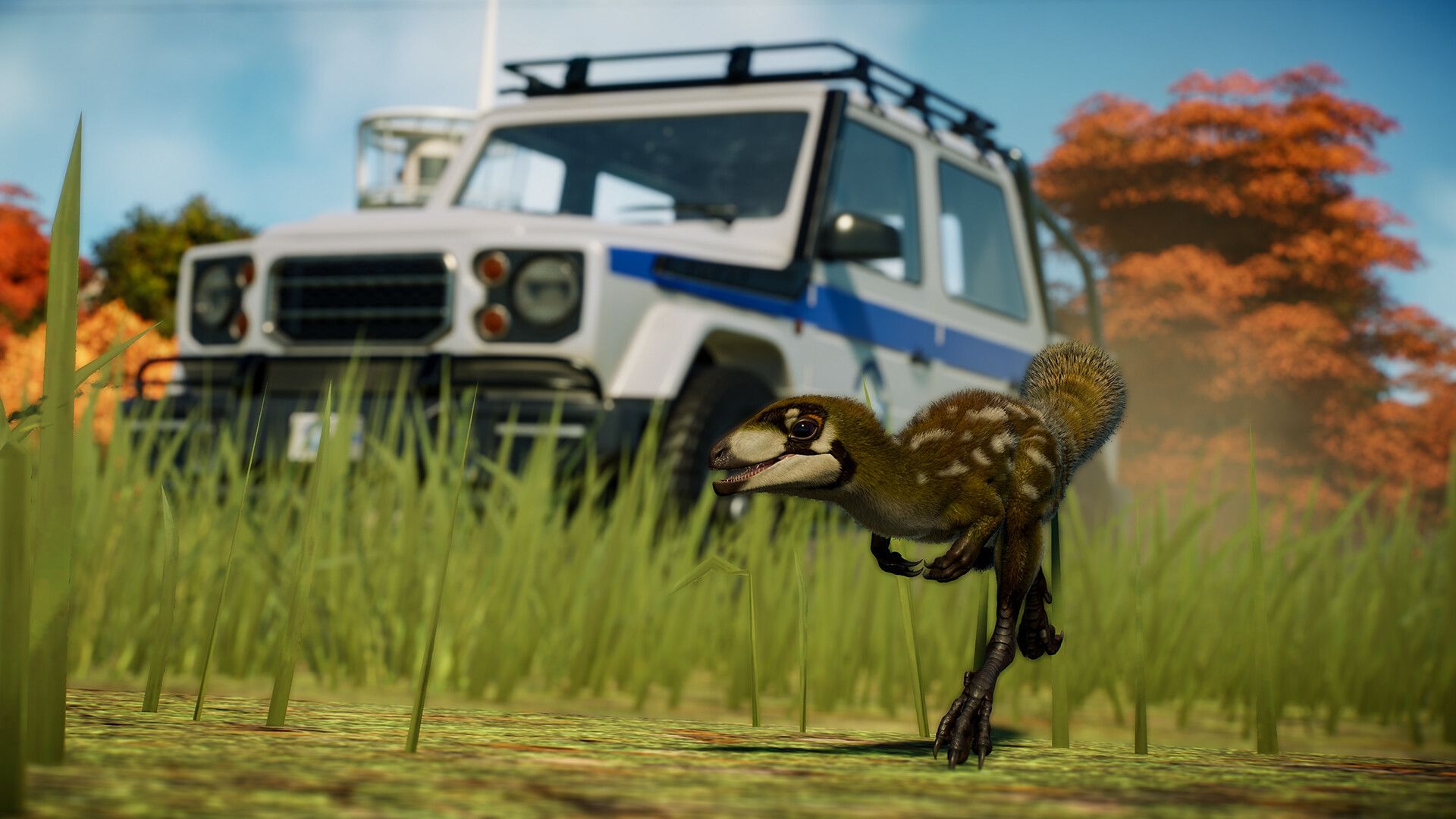 JWE2_Feathered_3