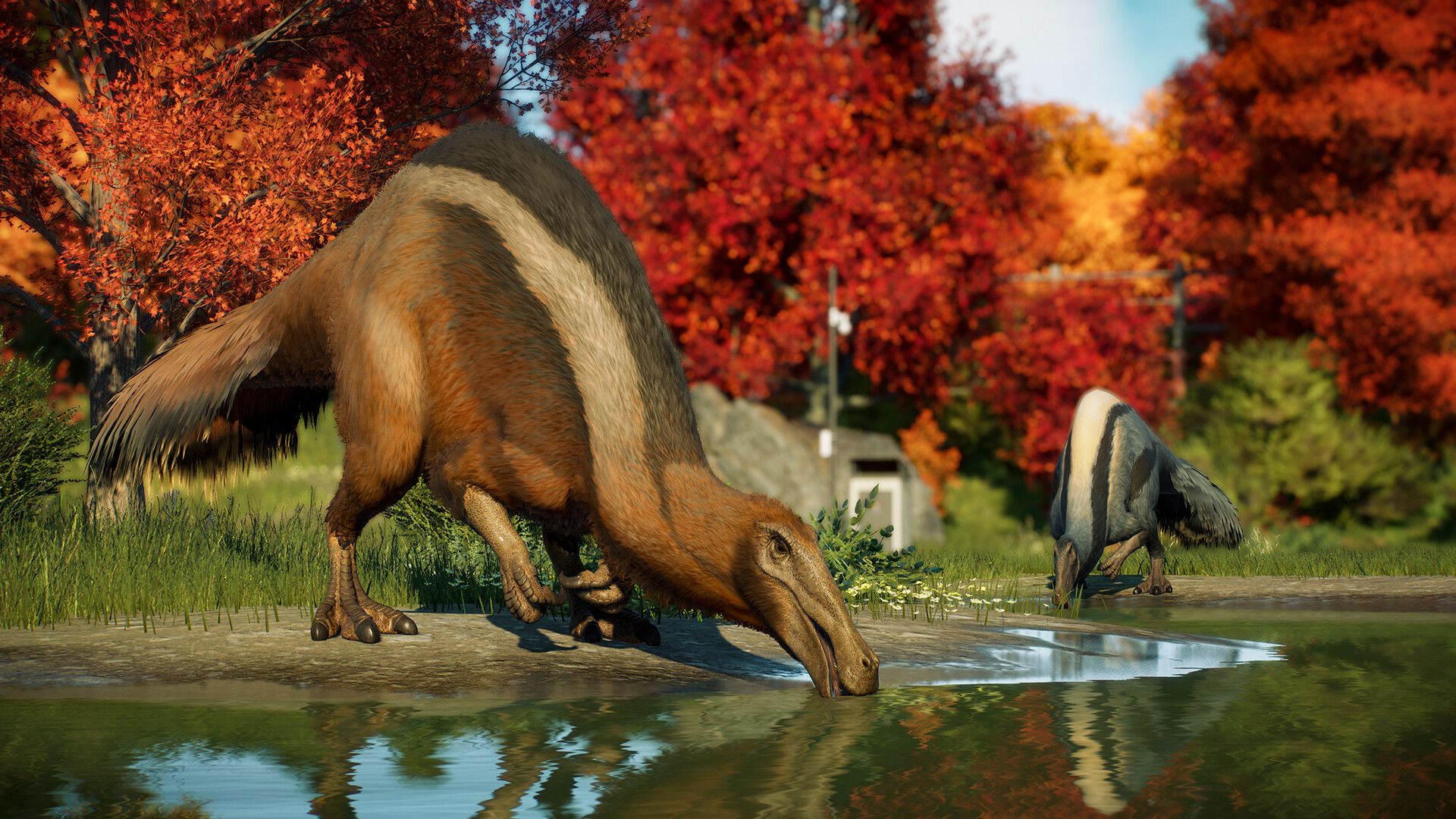 JWE2_Feathered_4