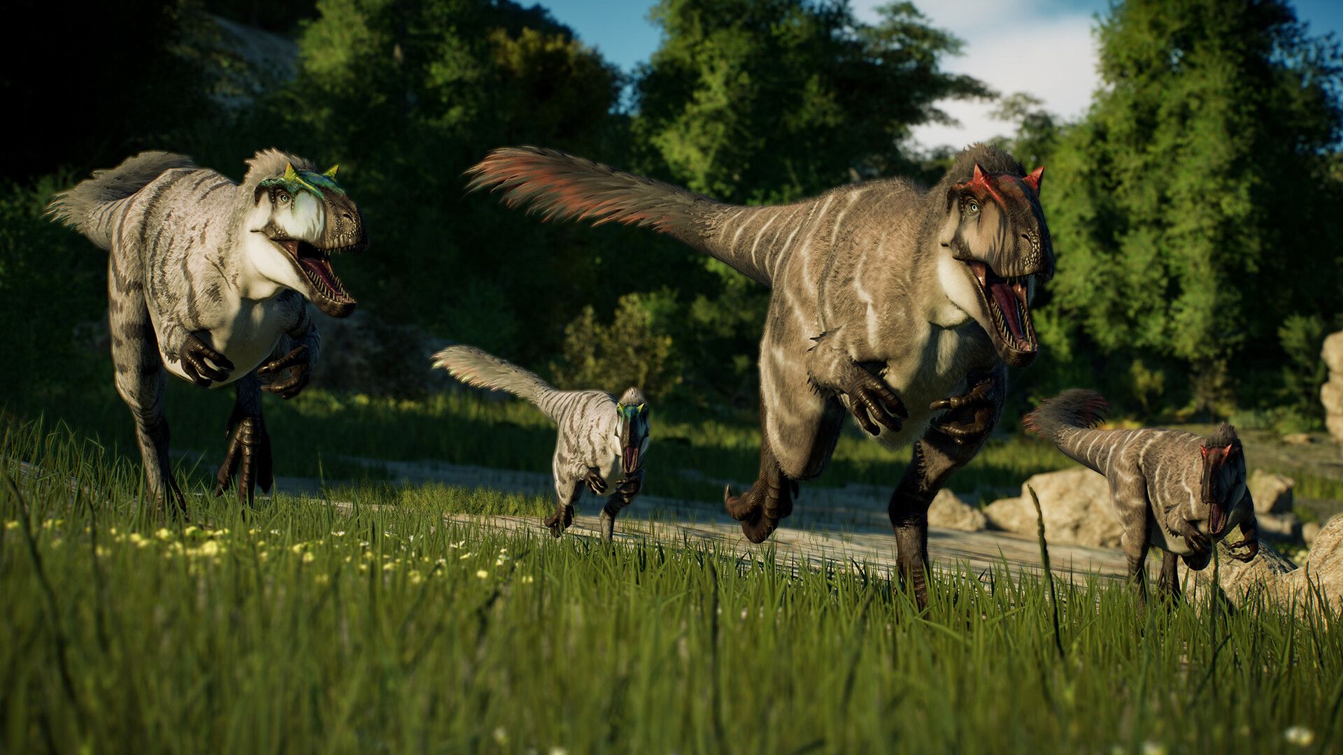 JWE2_Feathered_5