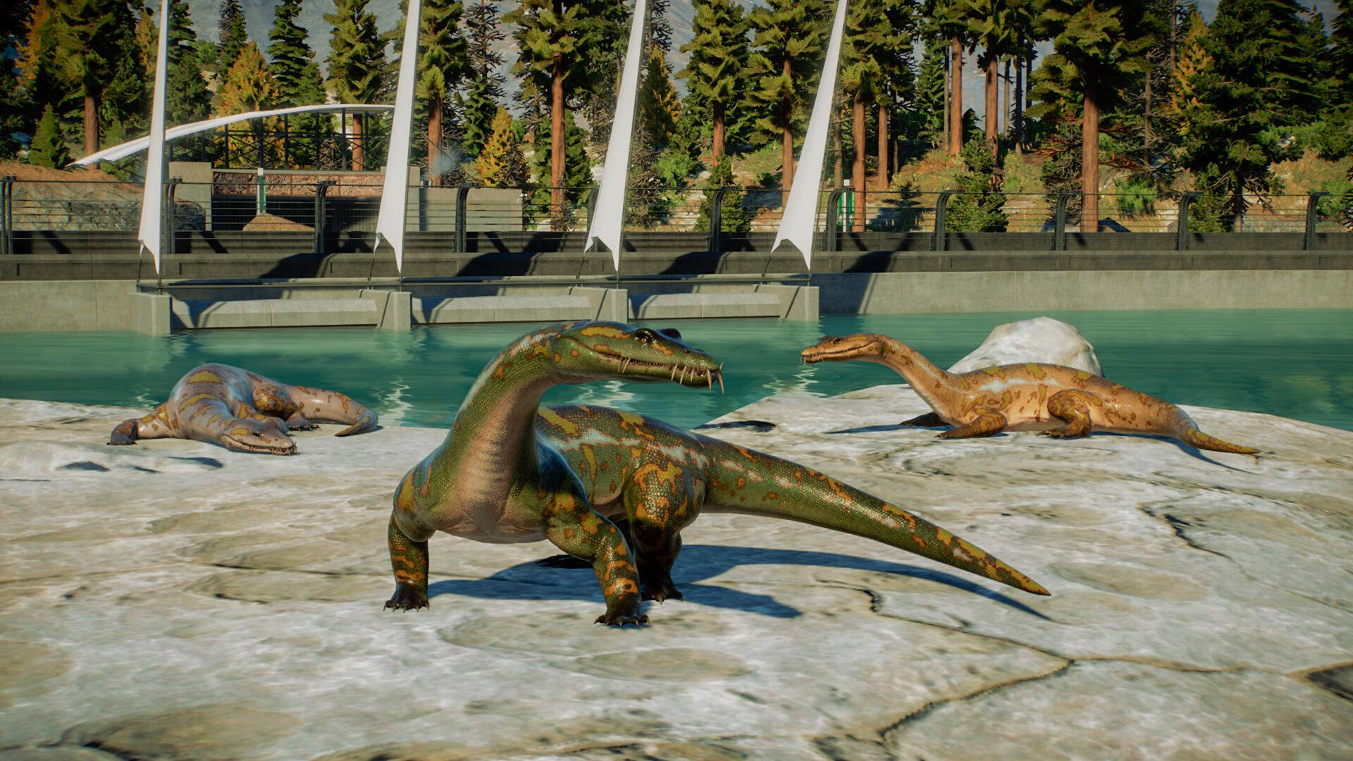 JWE2_Marine_5