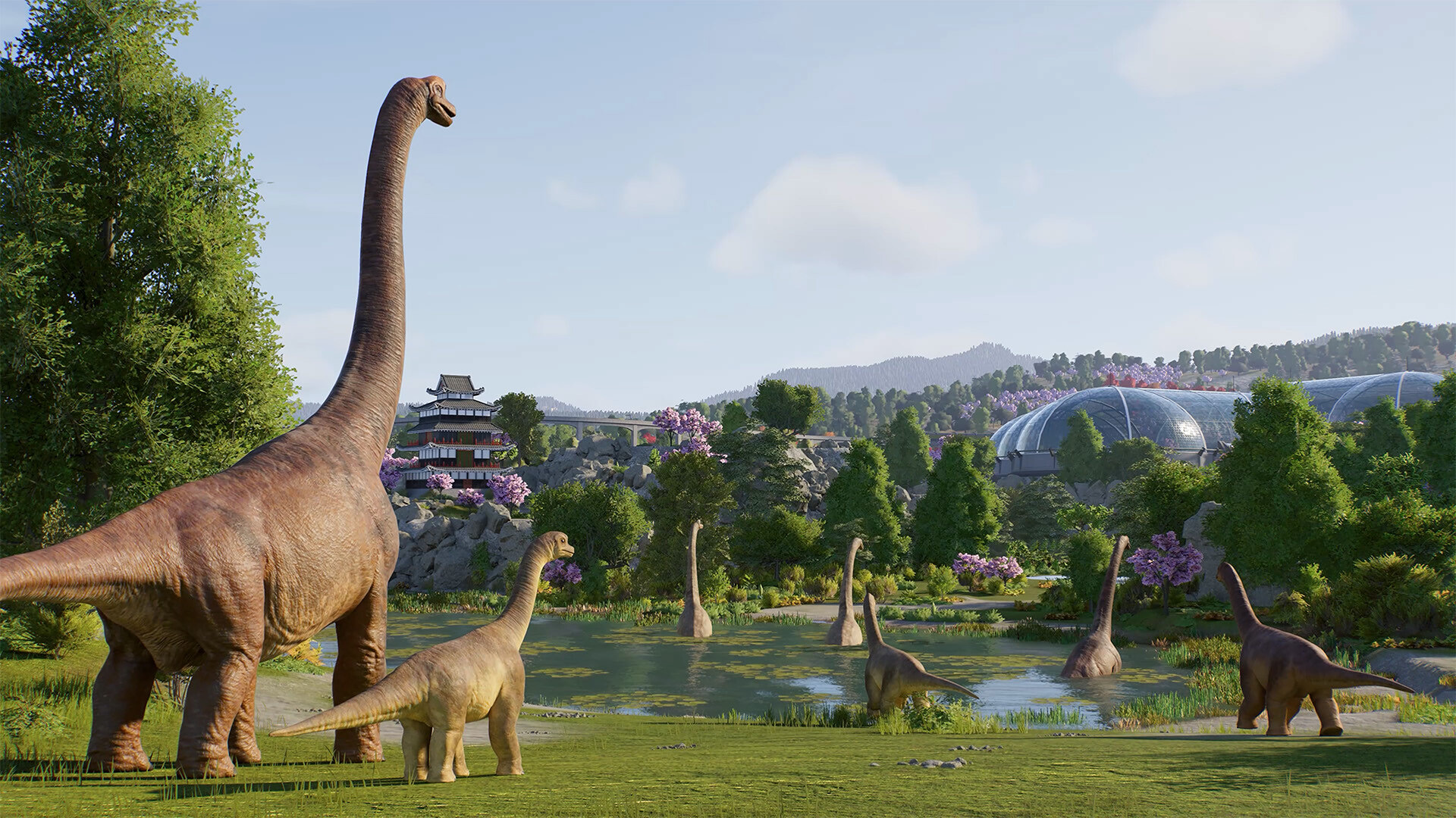 JWE3_2.jpg