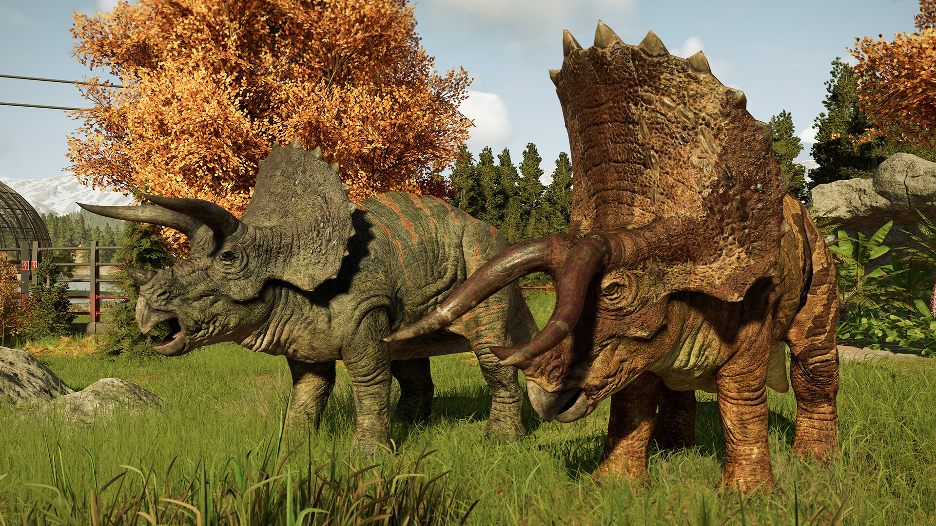JWE3_5.jpg