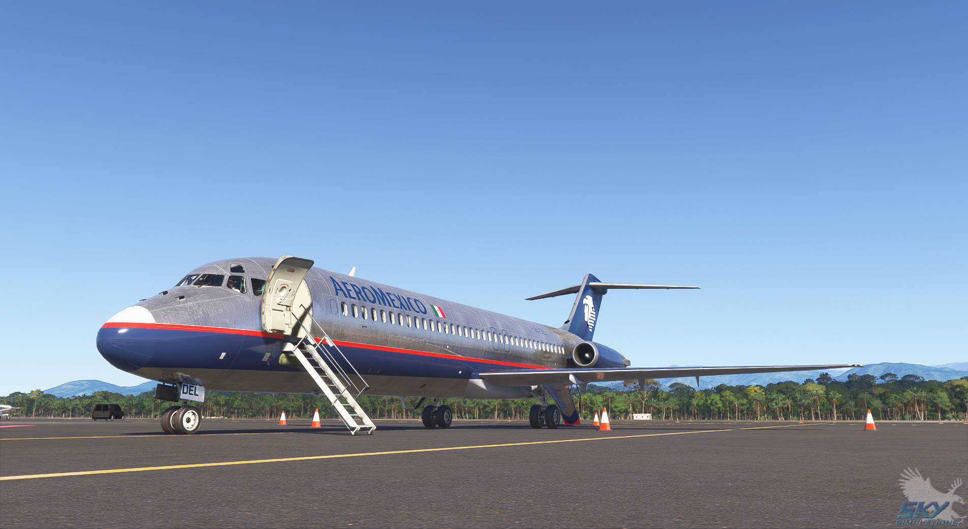 MSFS_SSDC-9_5.jpg
