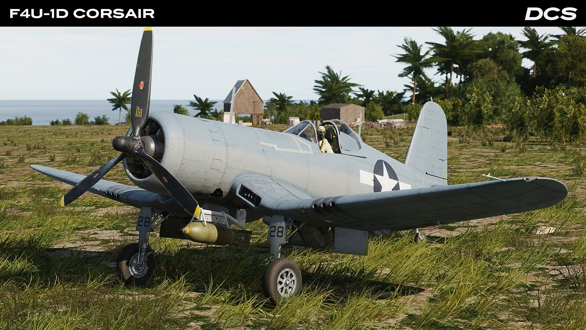 DCS_F4U1D_2.jpg