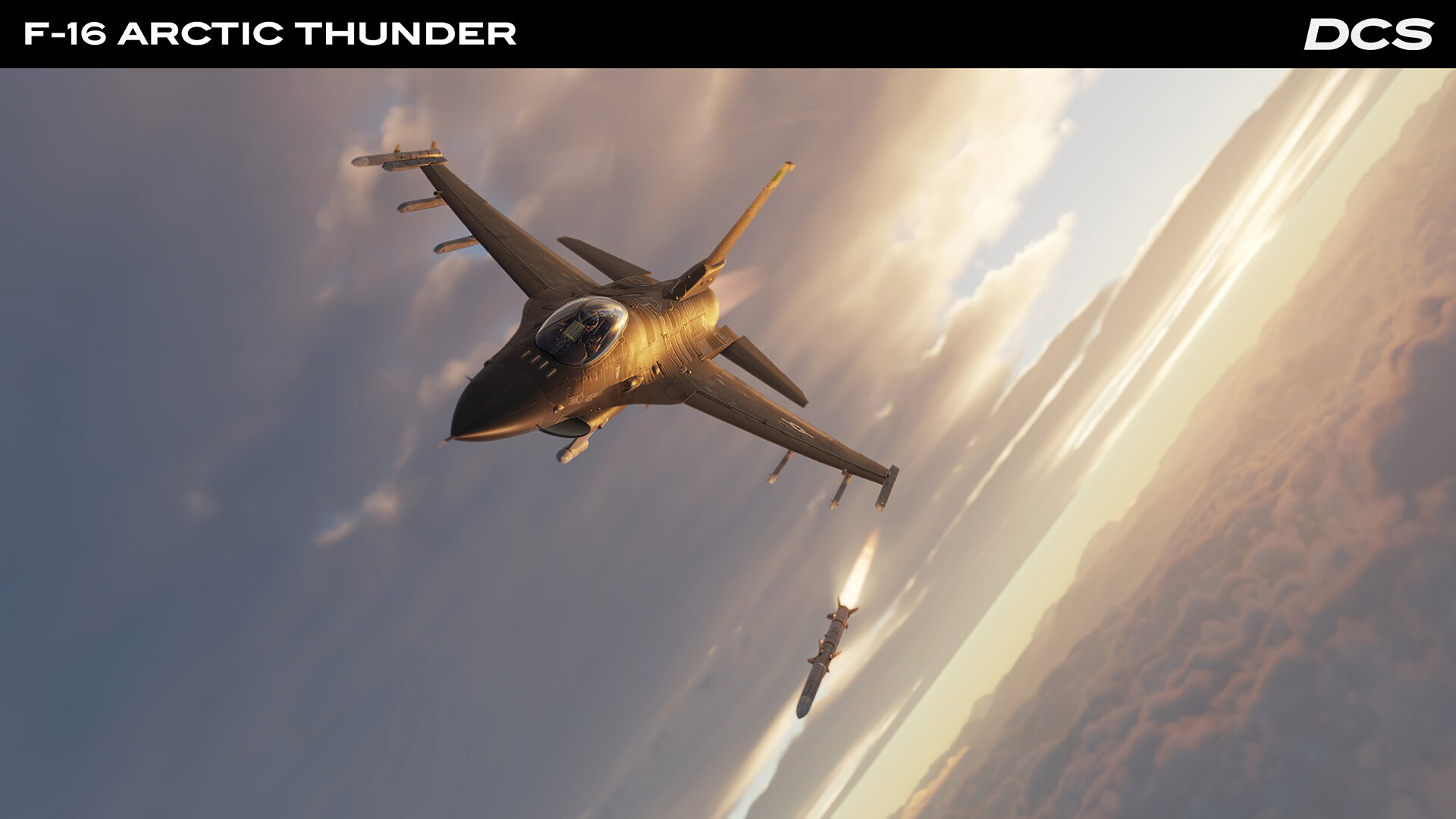 DCS_F16CArctic_1.jpg