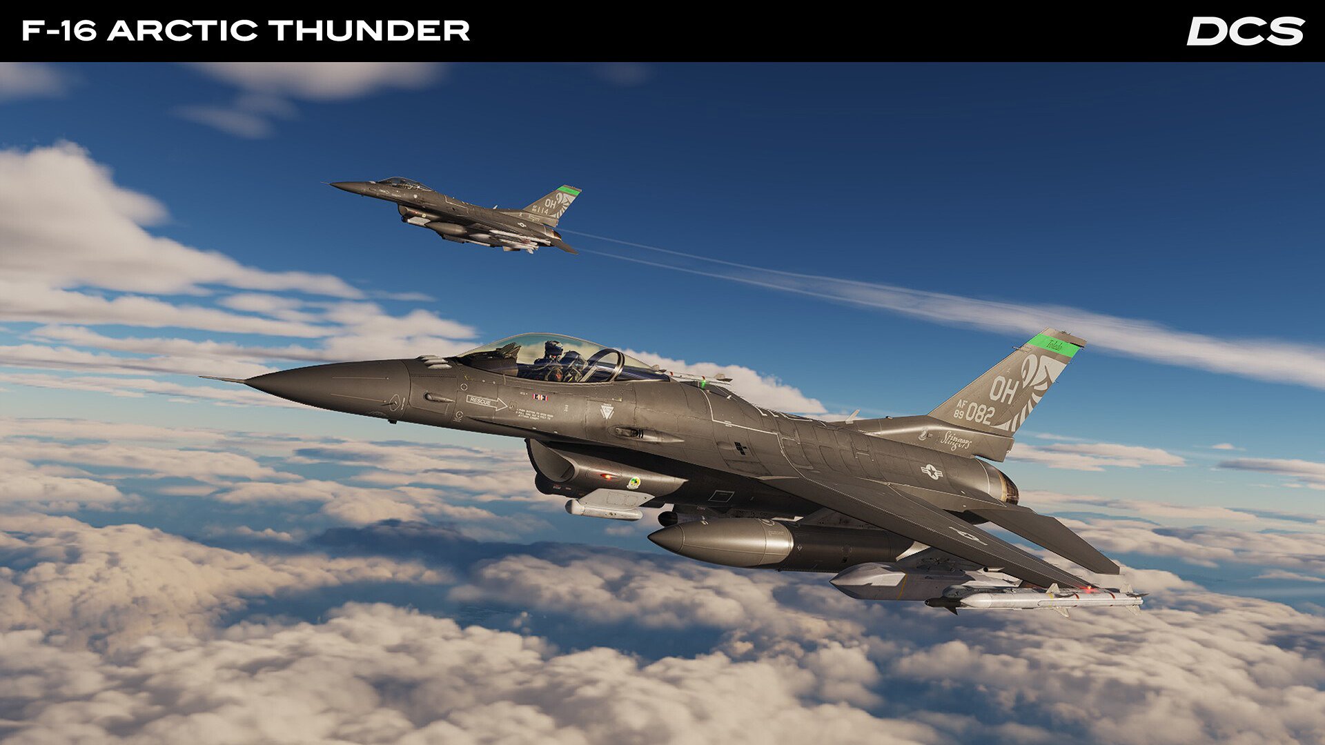DCS_F16CArctic_5.jpg