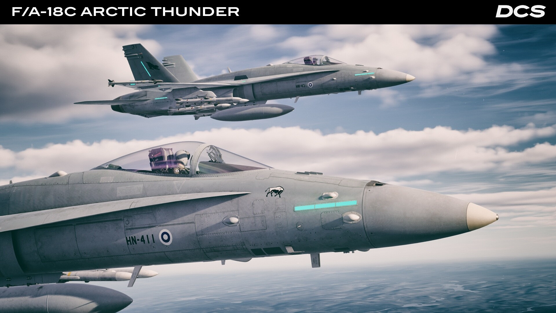 DCS_FA18CArctic_1.jpg