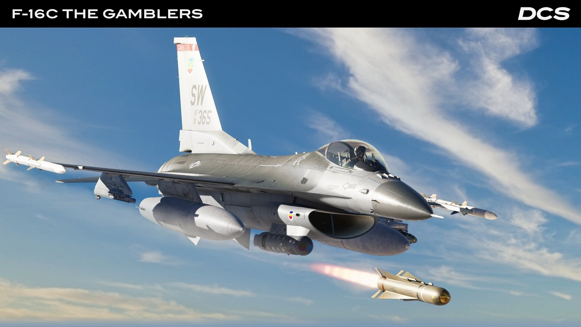 DCS_F16CGamblers_2.jpg