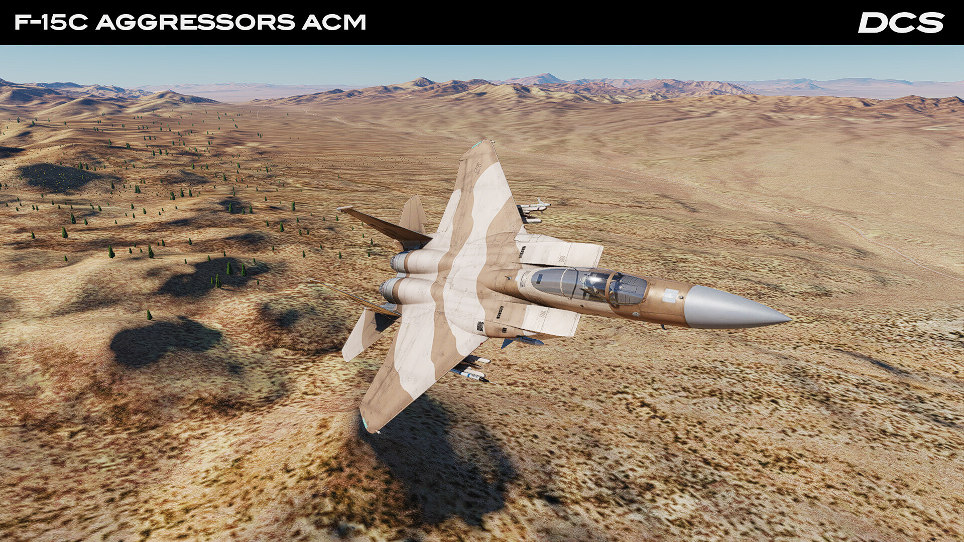 DCS_F15CAggressors_4.jpg