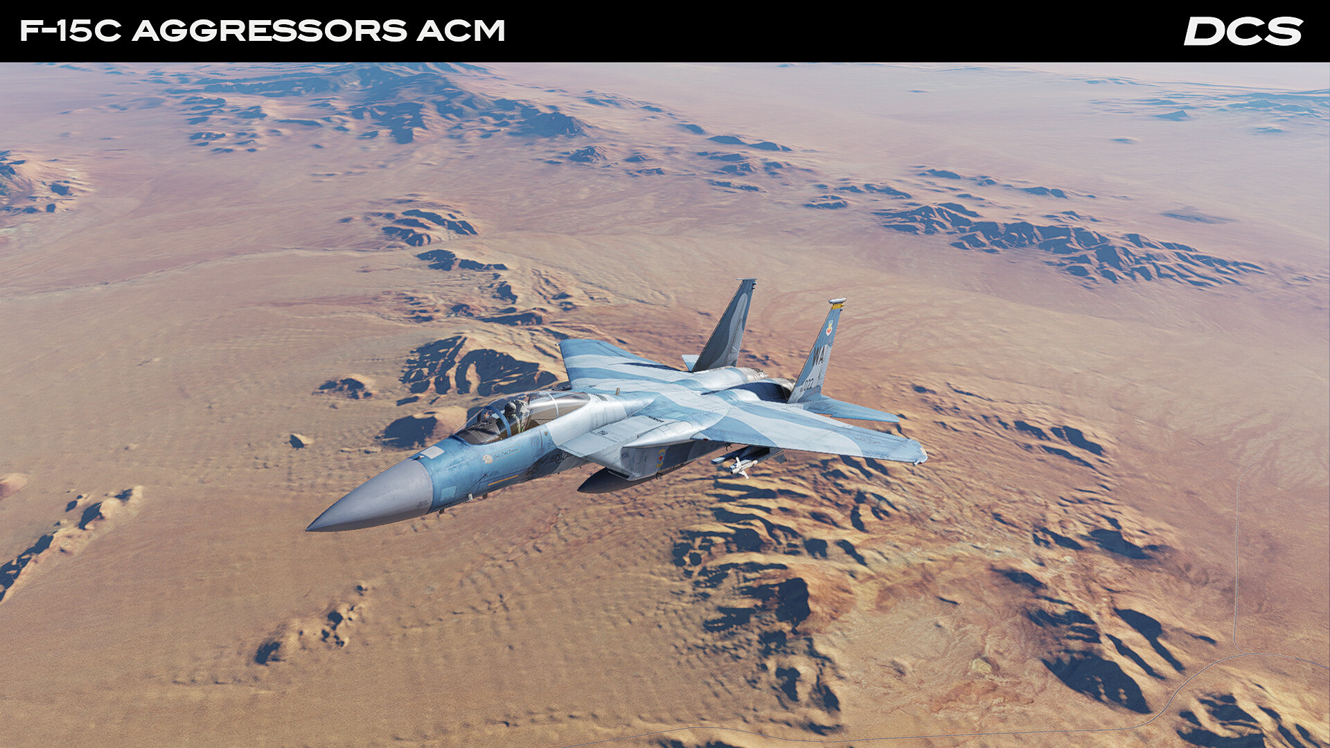 DCS_F15CAggressors_5.jpg