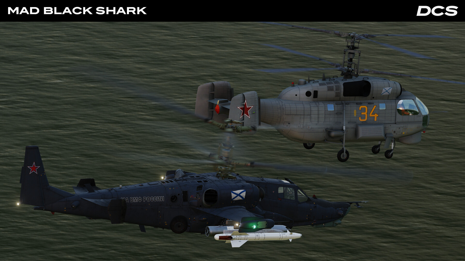 DCS_MadBlackShark_3.jpg