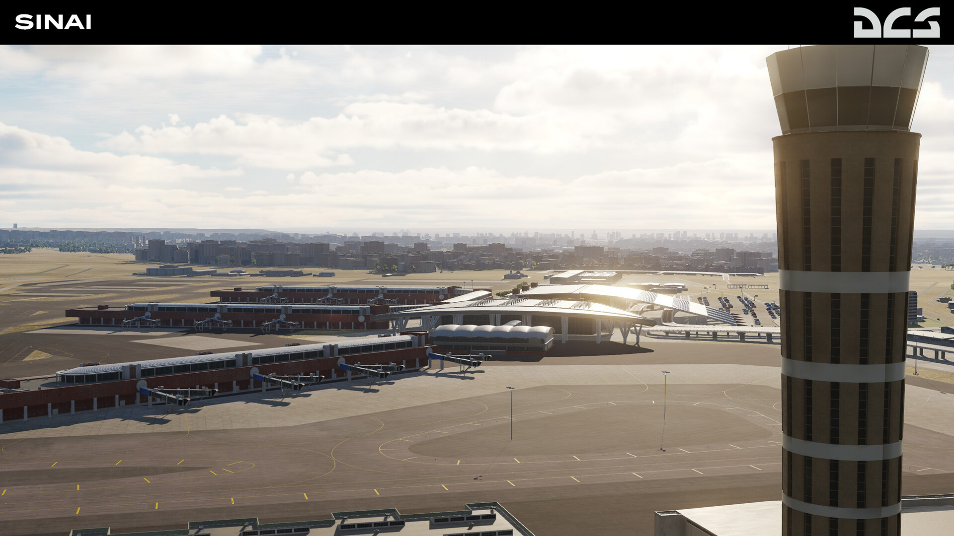 DCS_Sinai_1.jpg