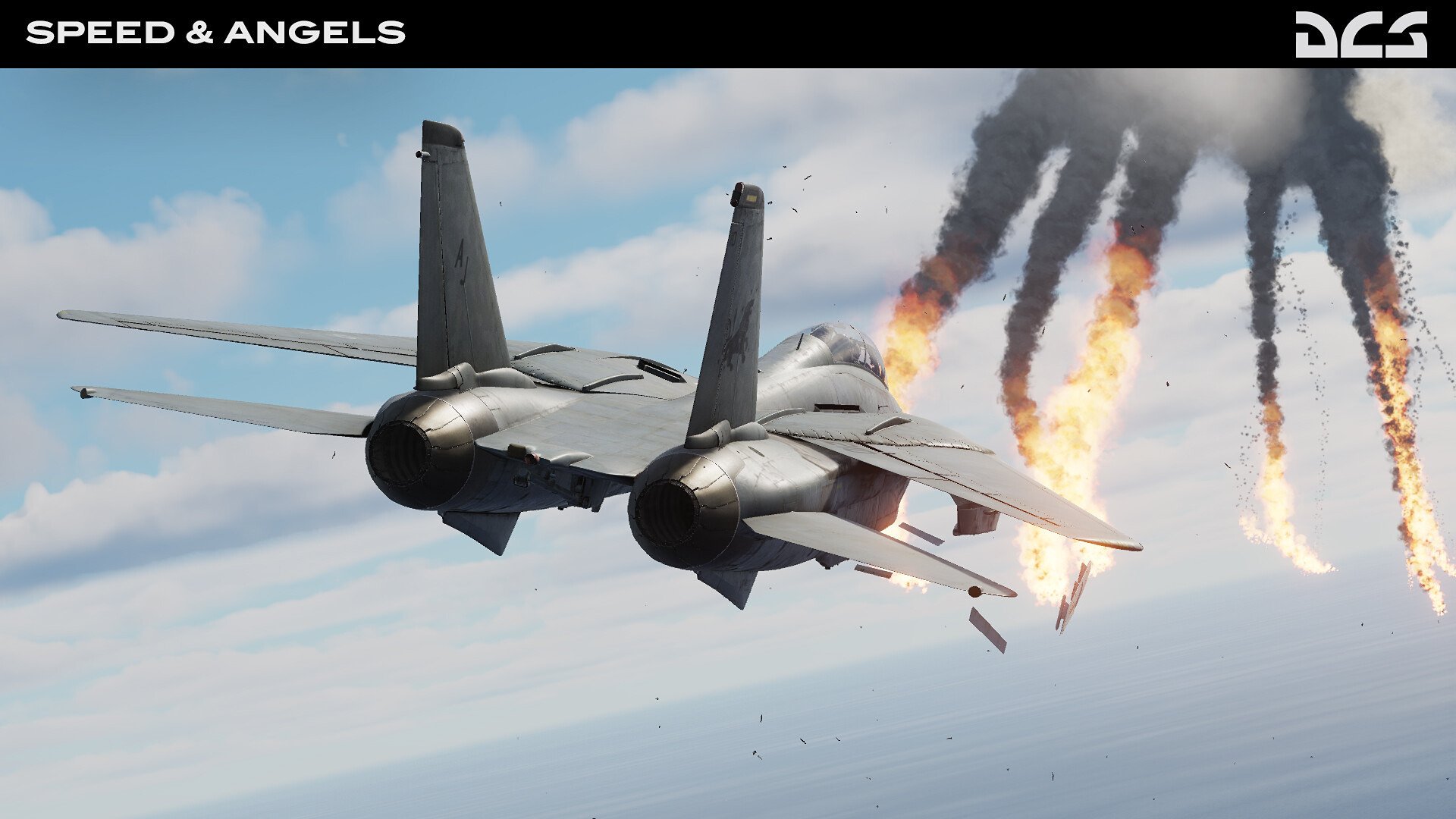 DCS_F14B_SpeedAngels_1.jpg
