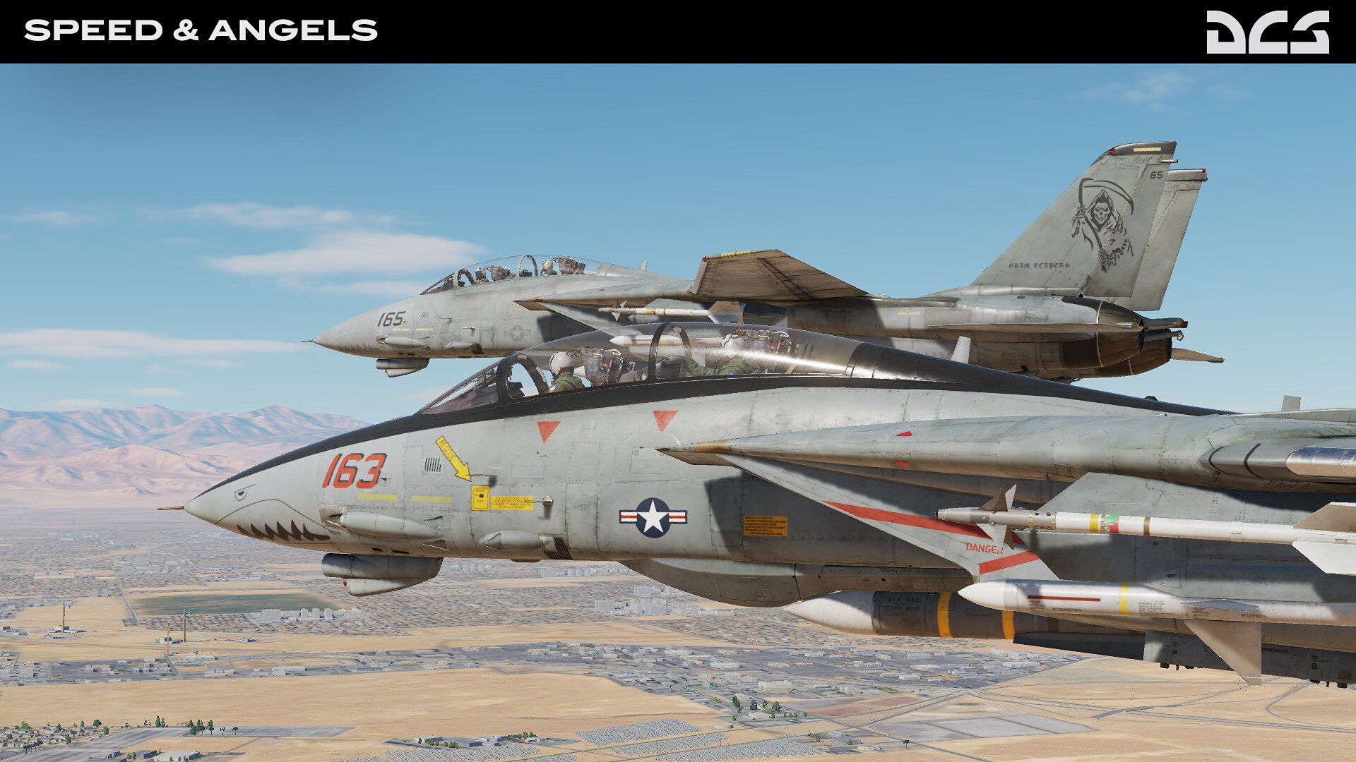 DCS_F14B_SpeedAngels_3.jpg