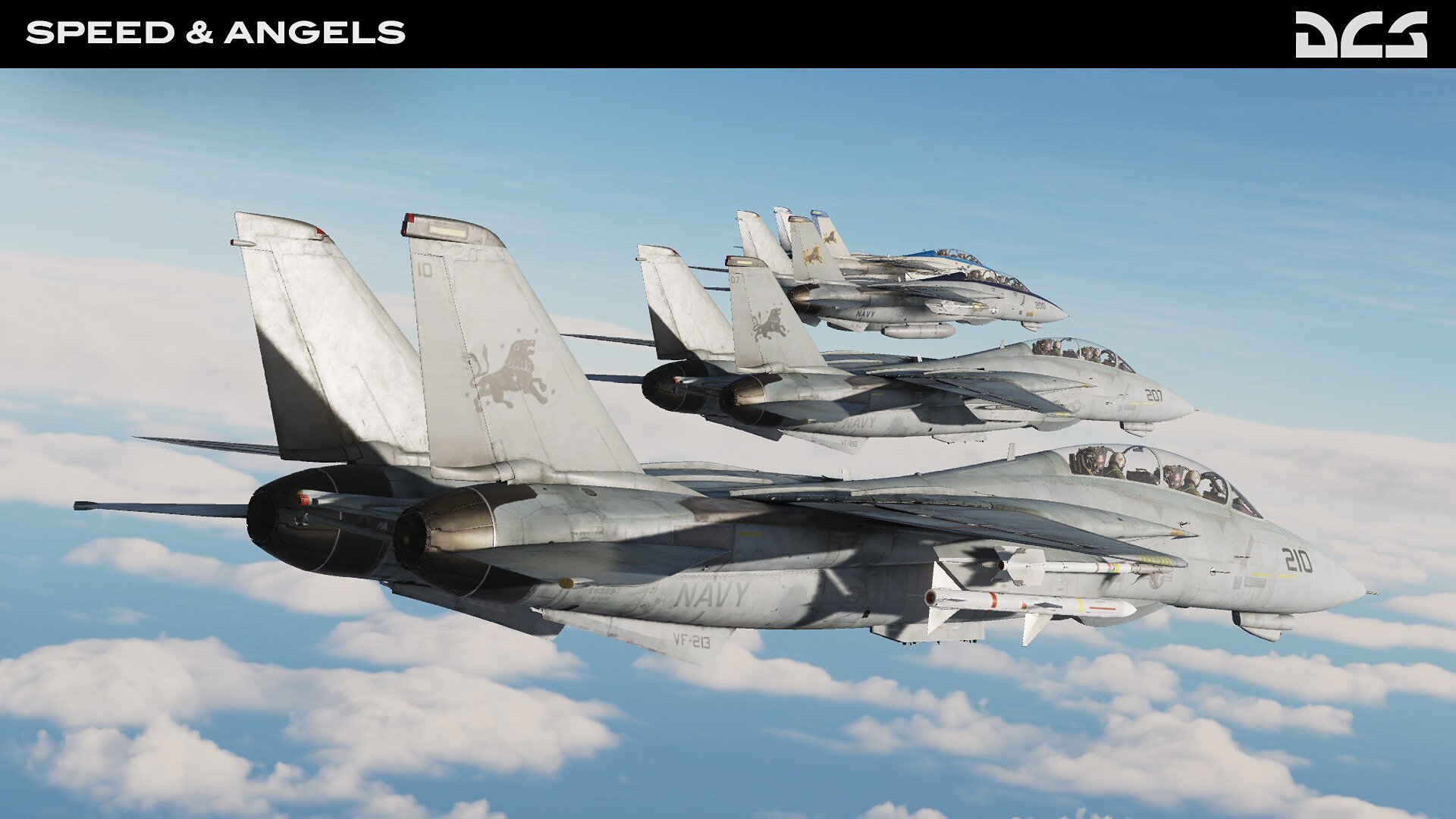 DCS_F14B_SpeedAngels_2.jpg