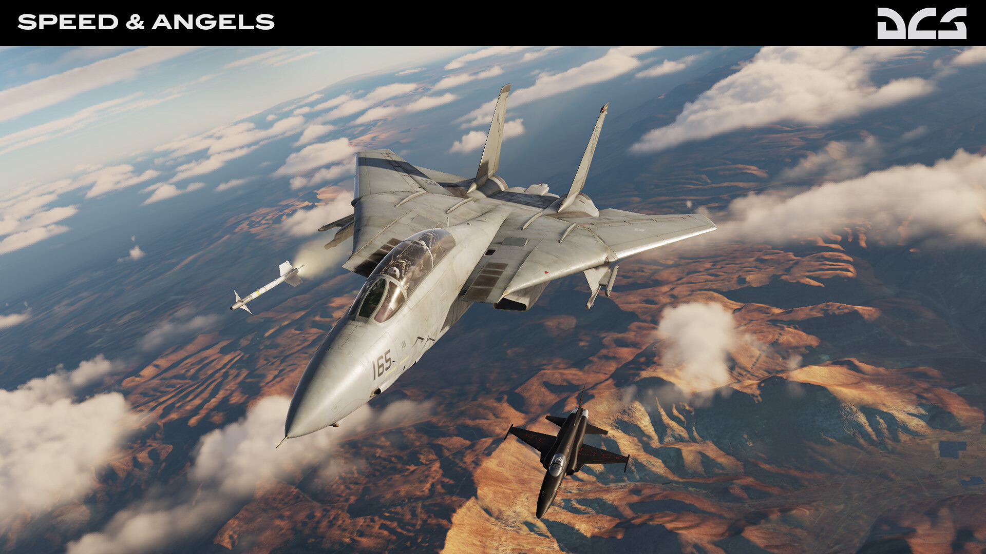 DCS_F14B_SpeedAngels_4.jpg