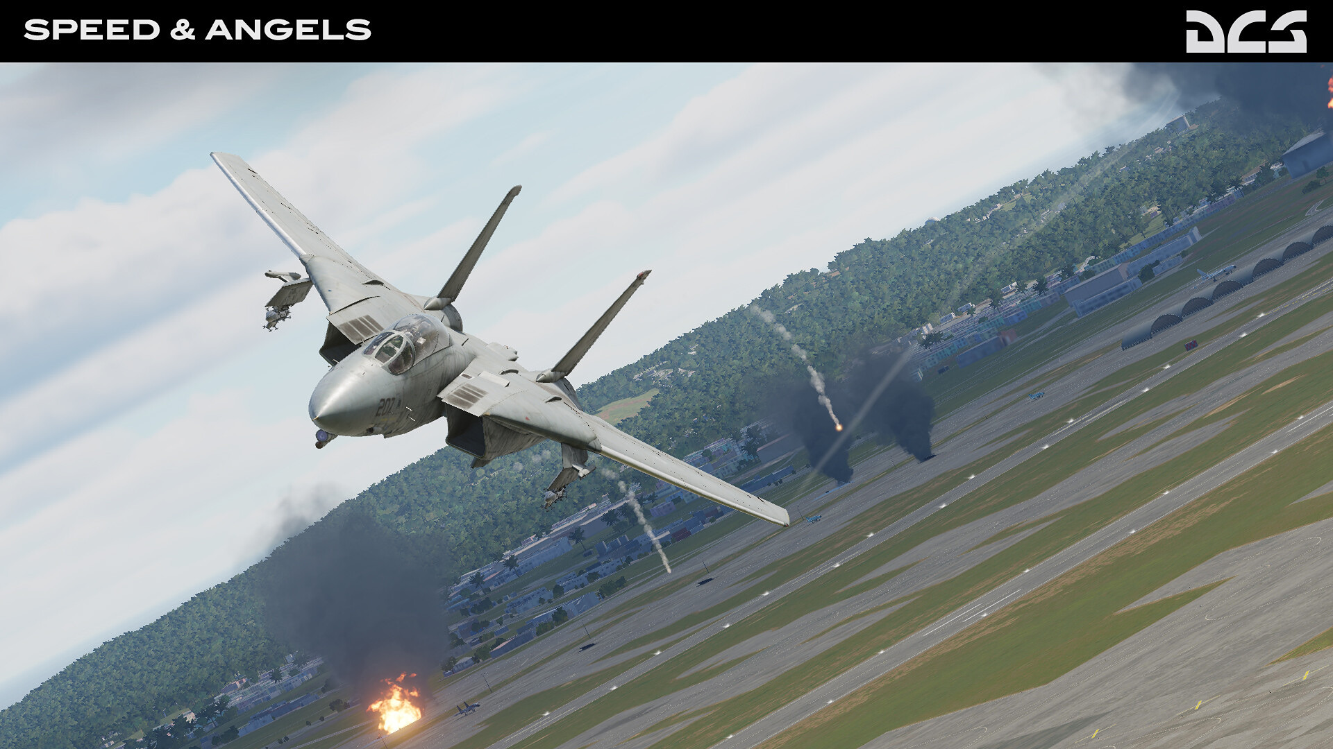 DCS_F14B_SpeedAngels_5.jpg