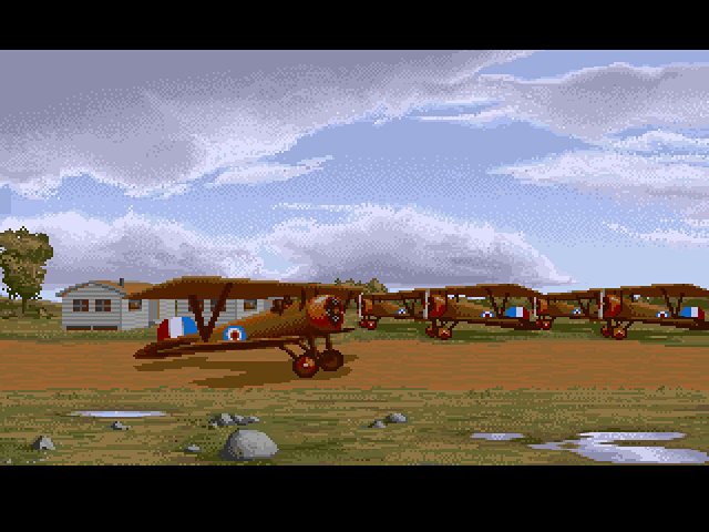 Wings_2.png