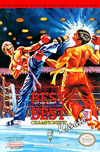Best of the Best: Championship Karate - NES Cover Art