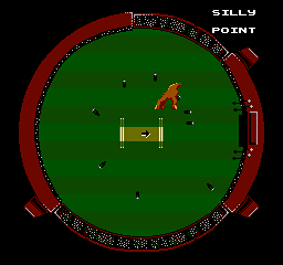InternationalCricket_3.png