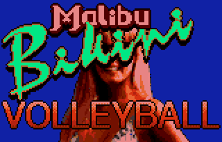 MalibuVolleyball_1.png