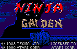 NinjaGaiden_1.png